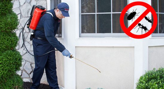 Pazar Akrep İlaçlama böcek ilaçlama ve haşere kontrolü — ilaclama-tr.com